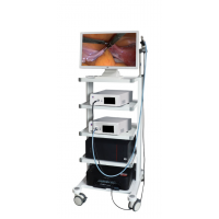 內窺鏡數字圖像處理系統（FA-310）